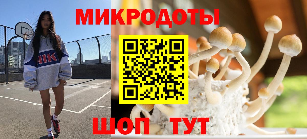 Галлюциногенные грибы мухоморы  Вход с VPN  Заводоуковск 