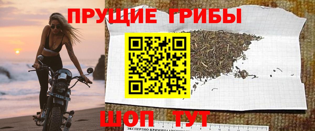 Галлюциногенные грибы мицелий Заводоуковск